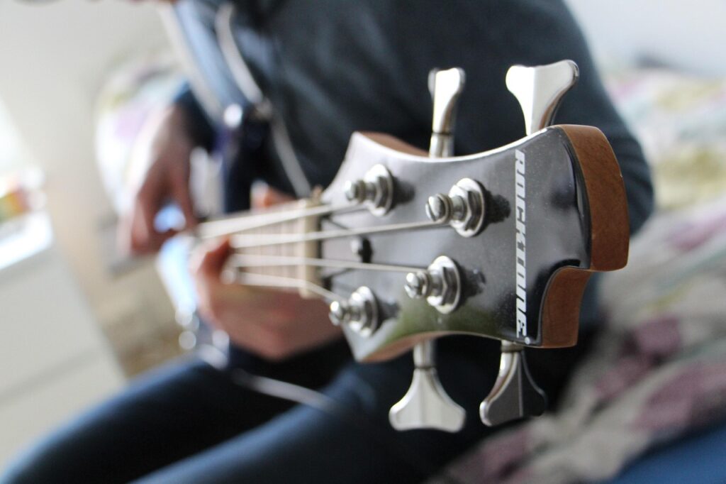 bass, music, instrument, guitar, bass, bass, bass, bass, bass